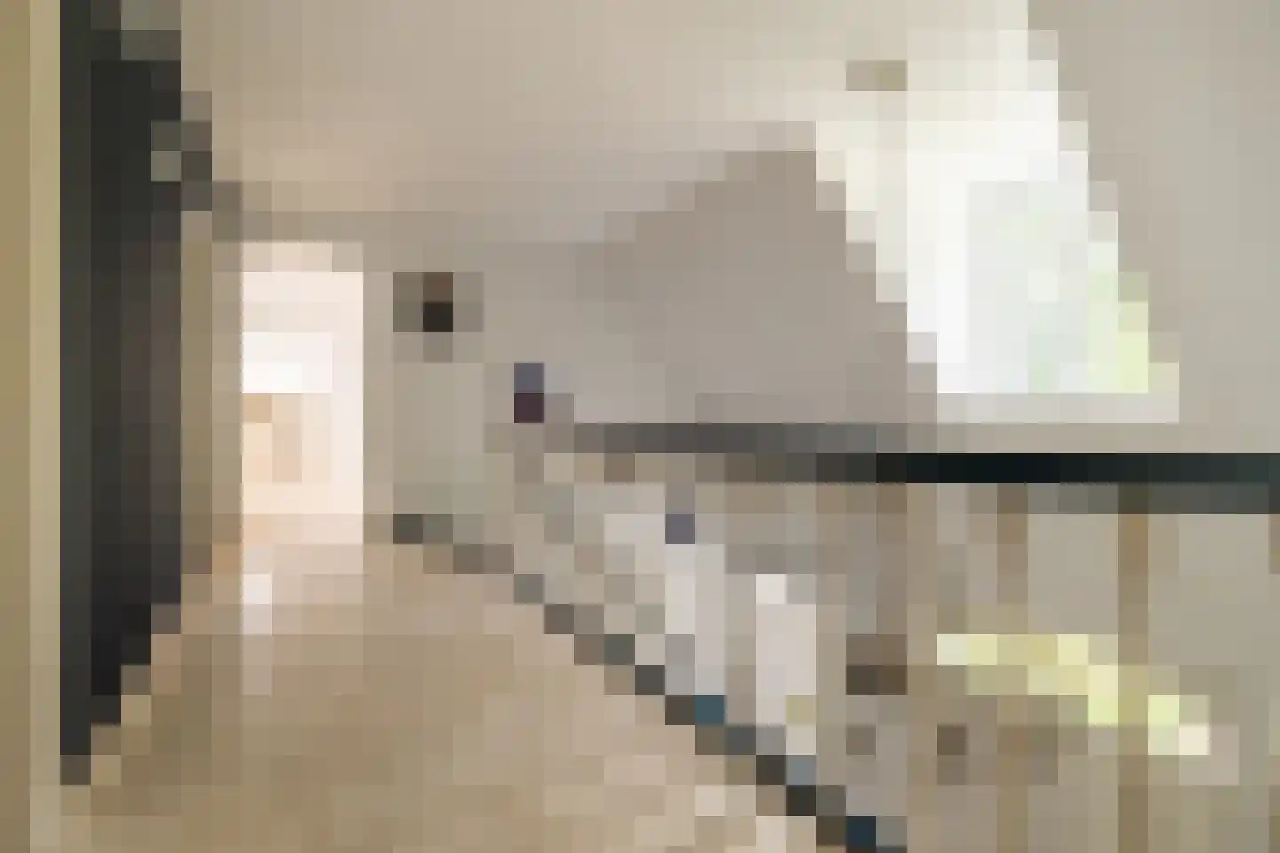 Hazeldonk 1 Breda thumbnail 37