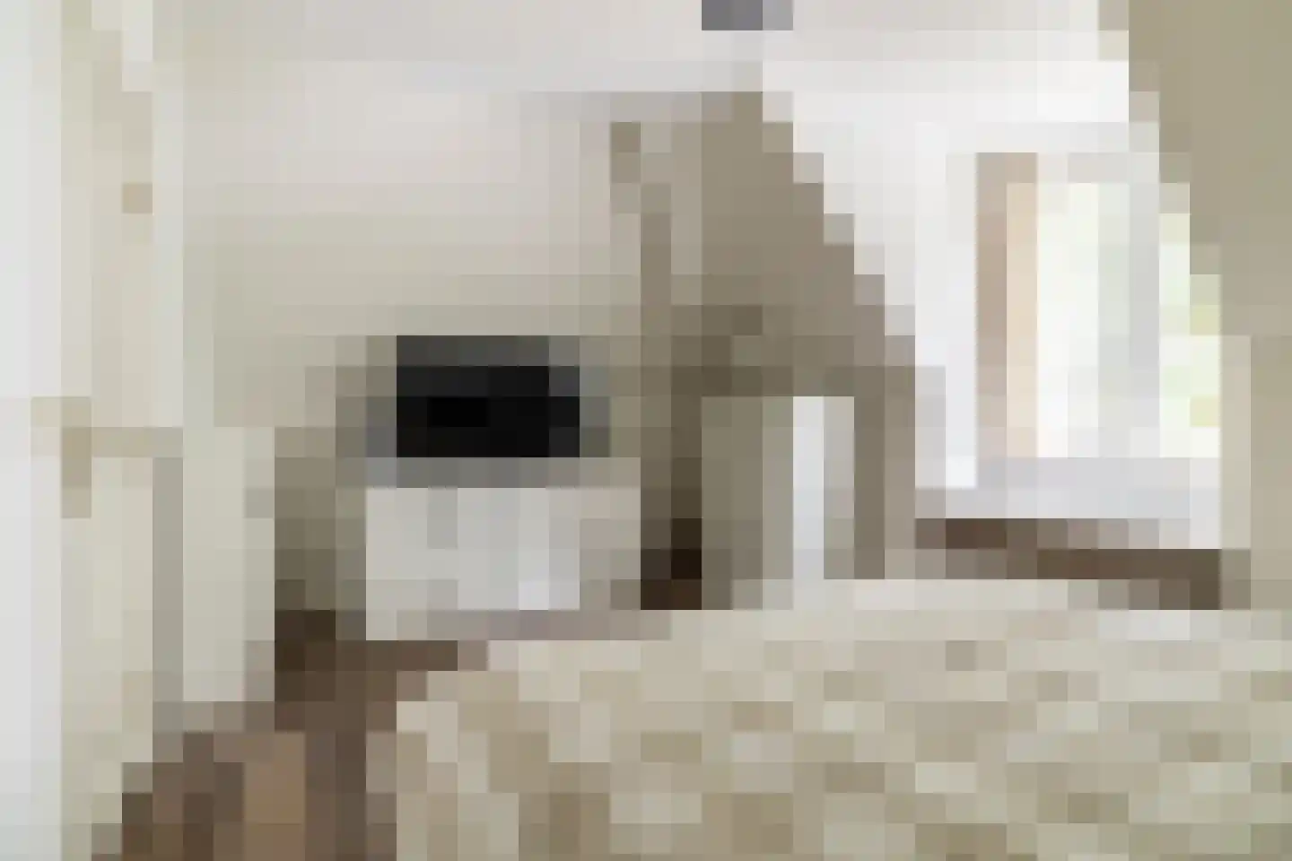 Hazeldonk 1 Breda thumbnail 39