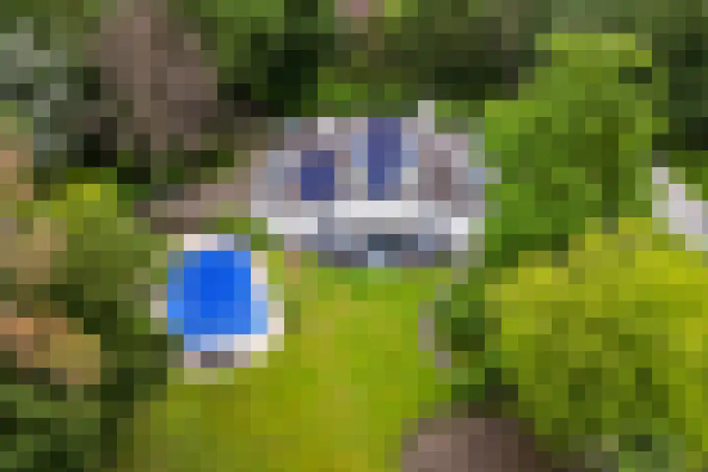 Hazeldonk 1 Breda thumbnail 51