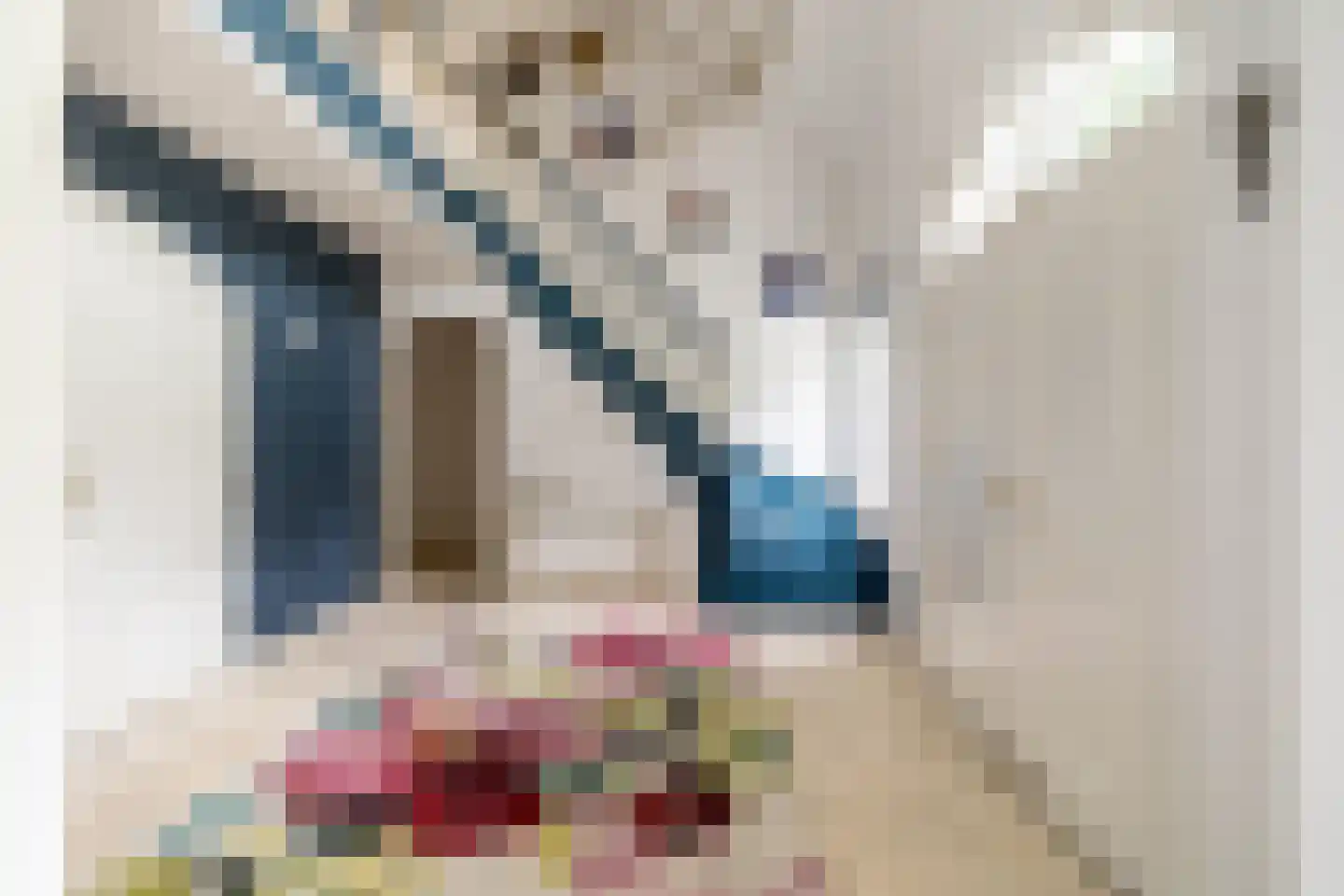 Hazeldonk 1 Breda thumbnail 9