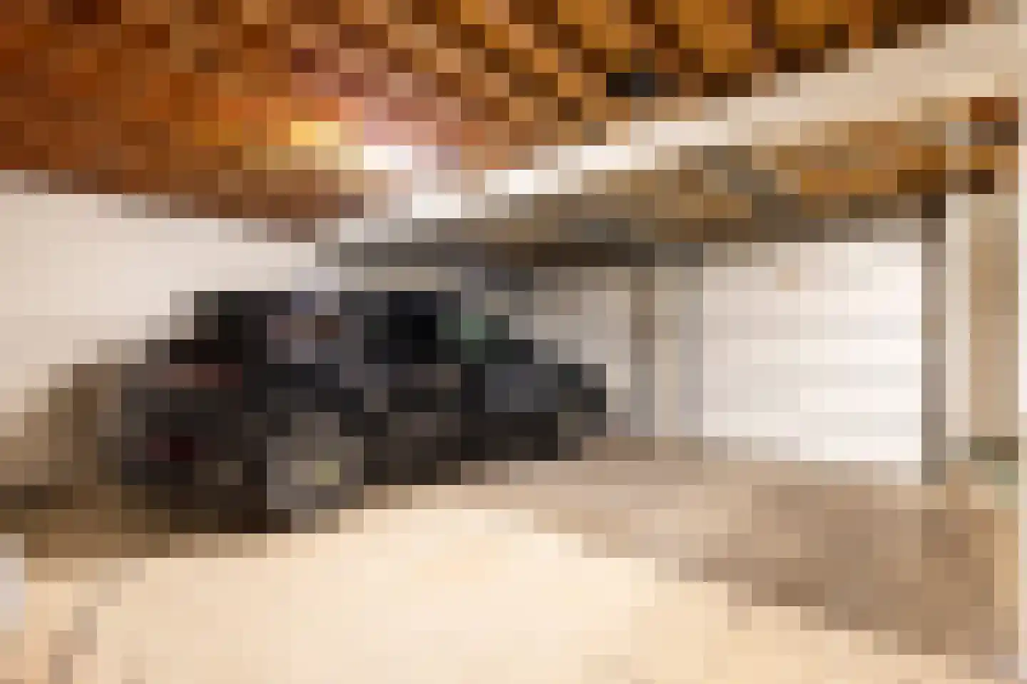 Hazeldonk 10 Breda thumbnail 21