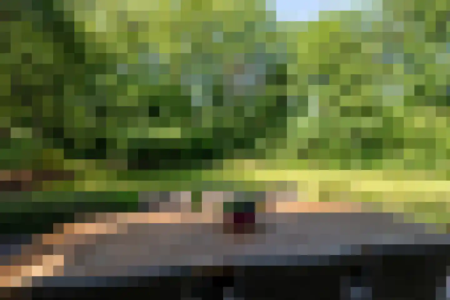Hazeldonk 10 Breda thumbnail 36