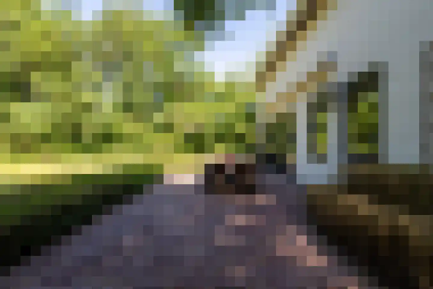 Hazeldonk 10 Breda thumbnail 38