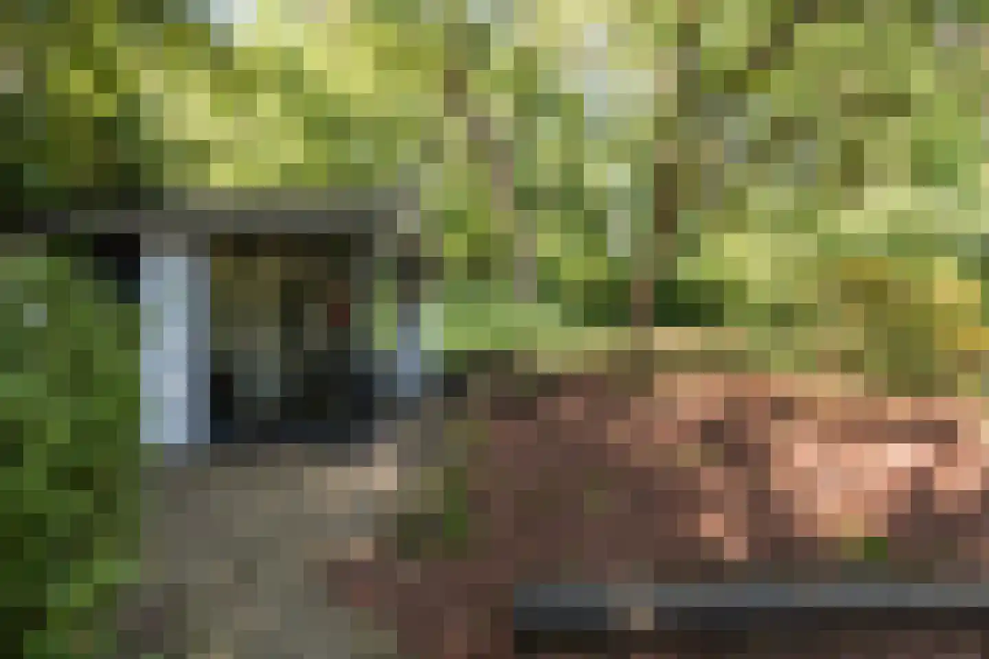 Hazeldonk 10 Breda thumbnail 40