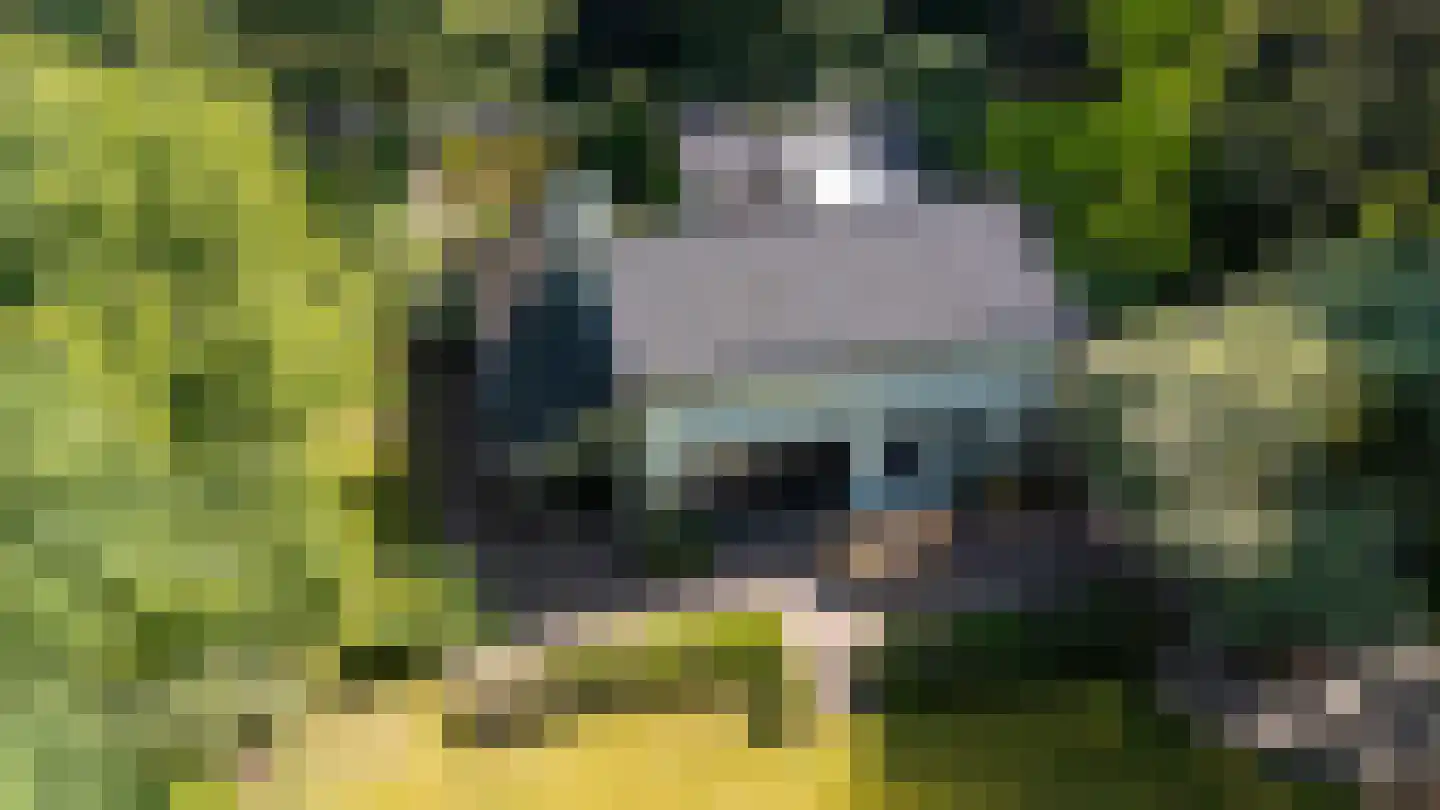 Hazeldonk 10 Breda thumbnail 49