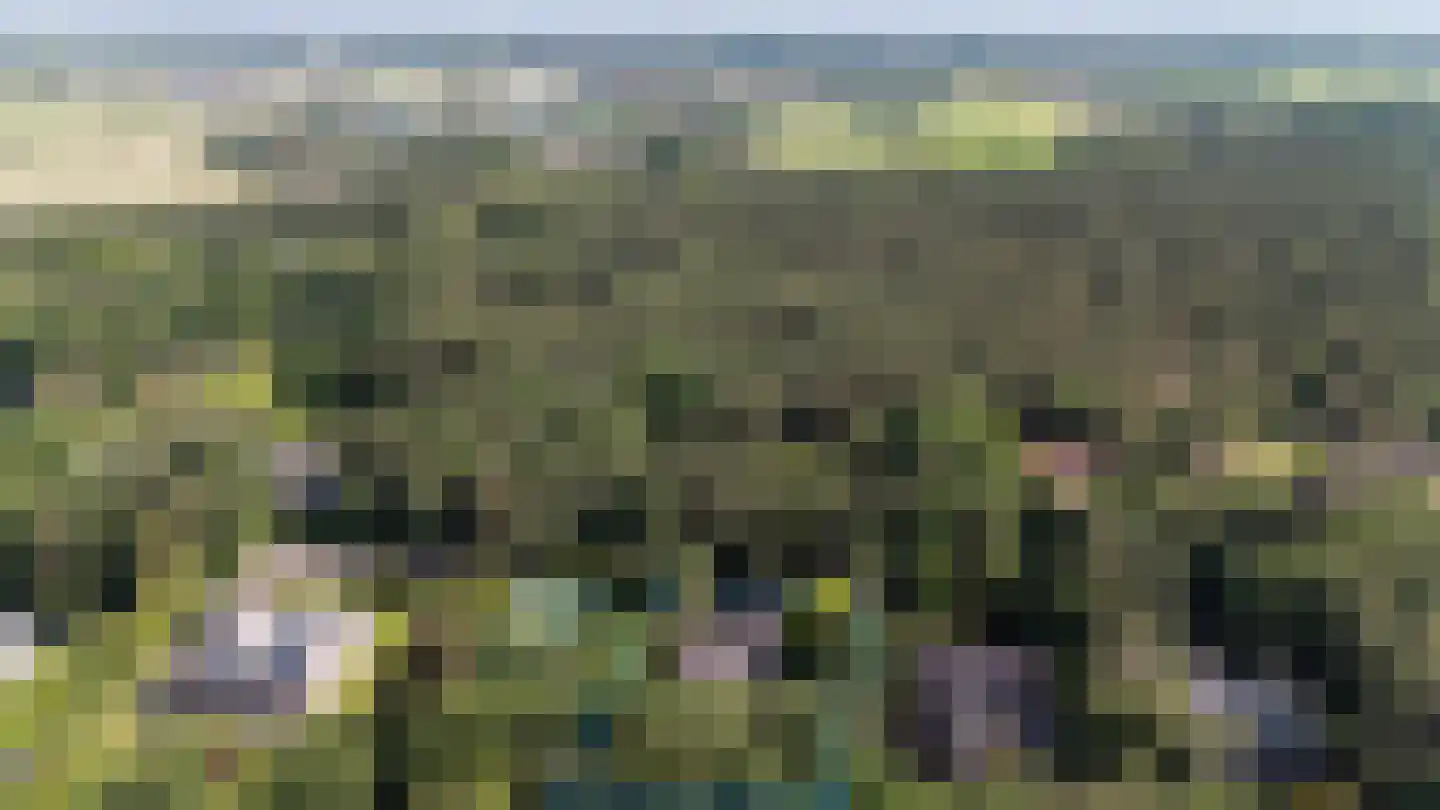 Hazeldonk 10 Breda thumbnail 51