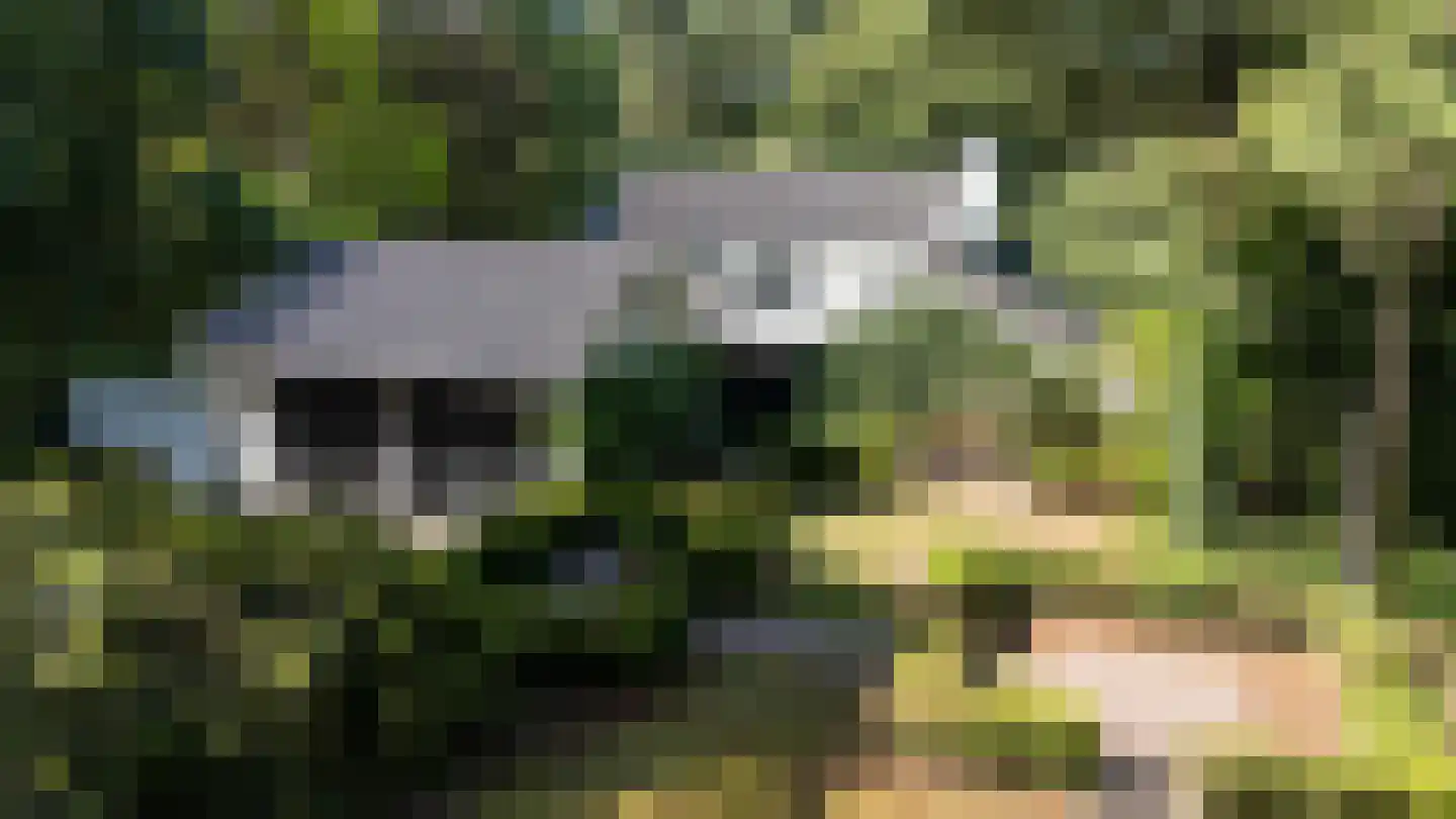 Hazeldonk 10 Breda thumbnail 6
