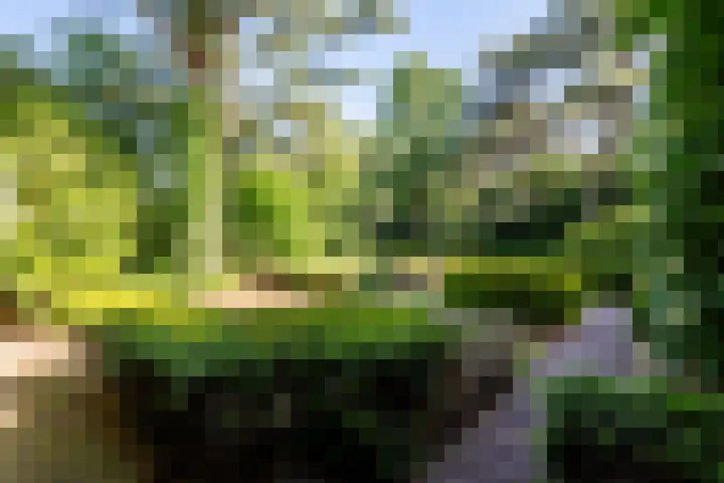 Hazeldonk 10 Breda thumbnail 9