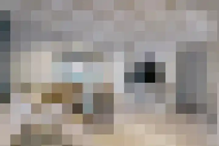 Hazeldonkse Zandweg 12 Zevenbergen thumbnail 11