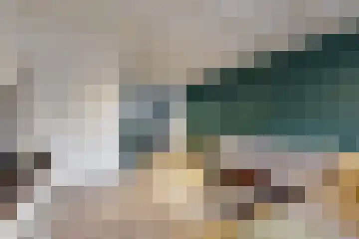 Hazeldonkse Zandweg 12 Zevenbergen thumbnail 12