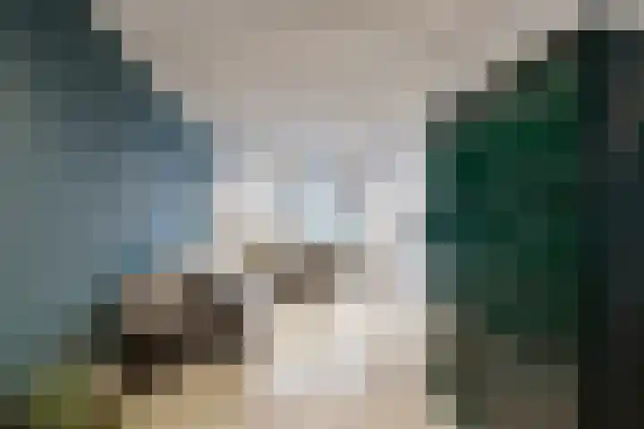 Hazeldonkse Zandweg 12 Zevenbergen thumbnail 15