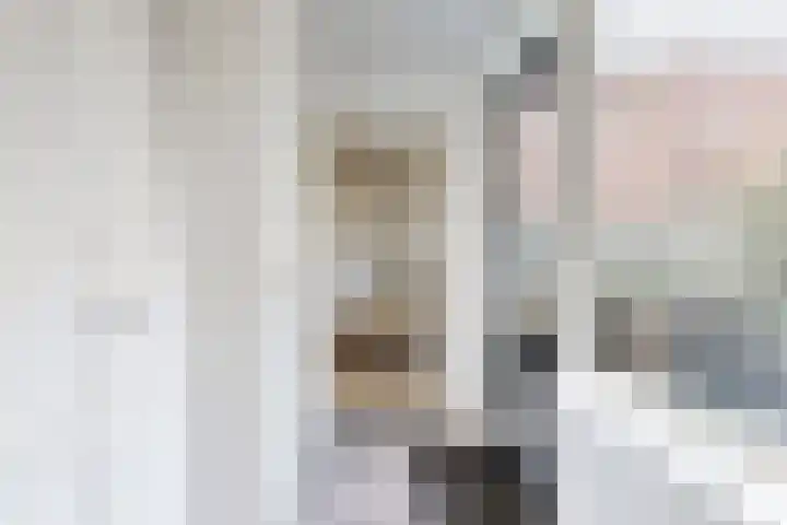 Hazeldonkse Zandweg 12 Zevenbergen thumbnail 23