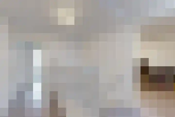 Hazeldonkse Zandweg 12 Zevenbergen thumbnail 31