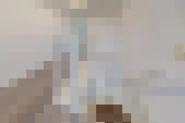 Hazeldonkse Zandweg 12 Zevenbergen thumbnail 32