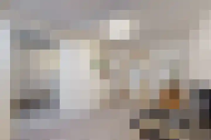 Hazeldonkse Zandweg 12 Zevenbergen thumbnail 34