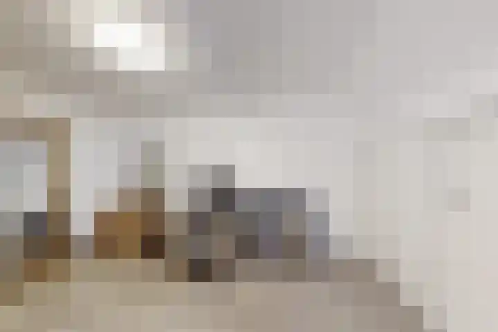 Hazeldonkse Zandweg 12 Zevenbergen thumbnail 35