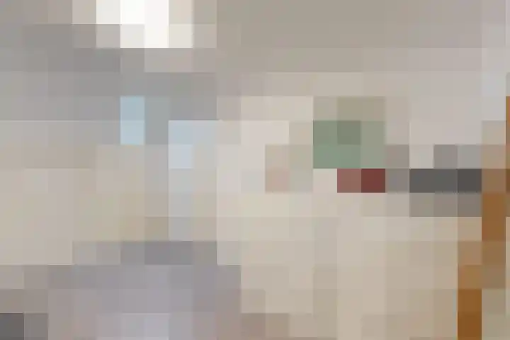 Hazeldonkse Zandweg 12 Zevenbergen thumbnail 37