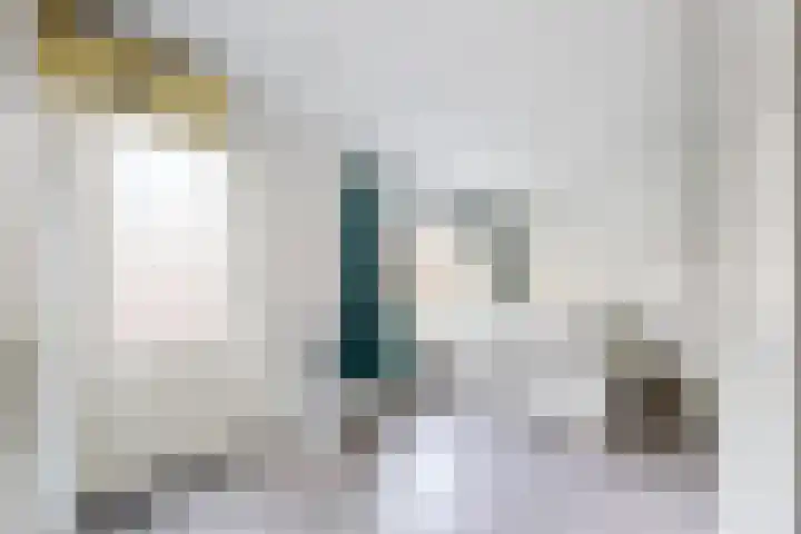 Hazeldonkse Zandweg 12 Zevenbergen thumbnail 38