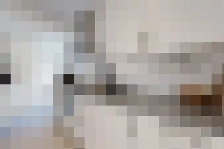 Hazeldonkse Zandweg 12 Zevenbergen thumbnail 4