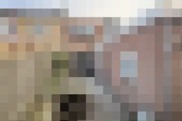 Hazeldonkse Zandweg 12 Zevenbergen thumbnail 46
