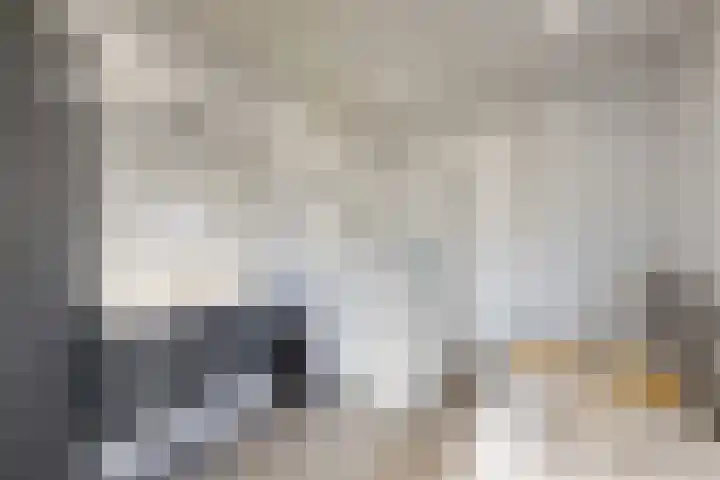 Hazeldonkse Zandweg 12 Zevenbergen thumbnail 5