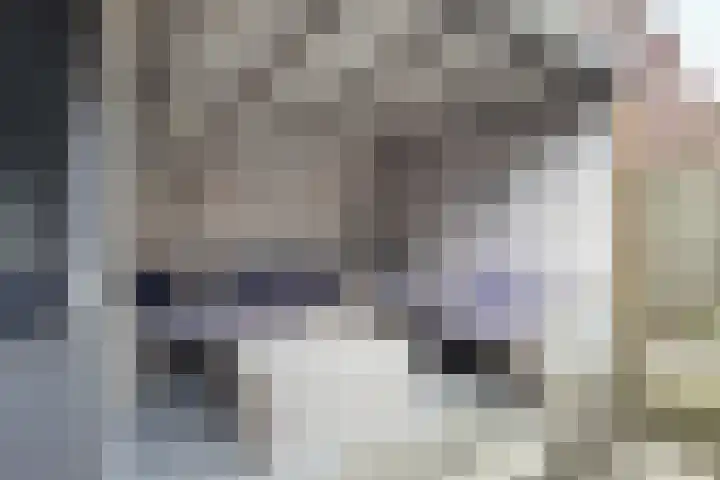 Hazeldonkse Zandweg 12 Zevenbergen thumbnail 6