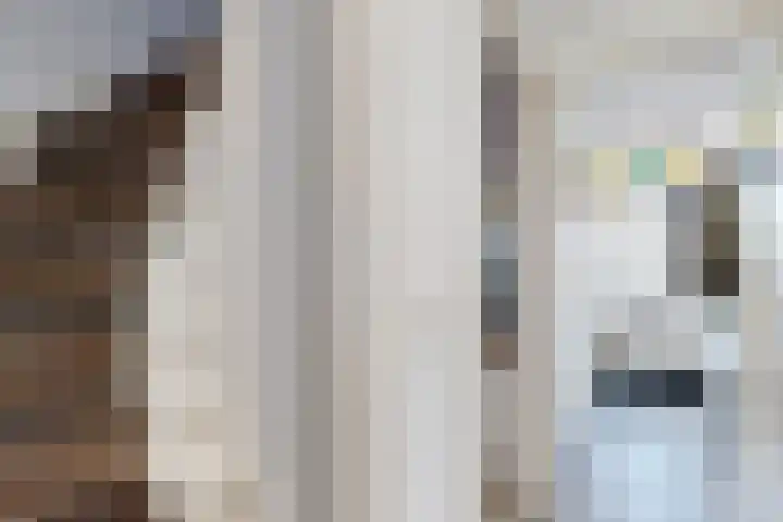Hazeldonkse Zandweg 12 Zevenbergen thumbnail 9