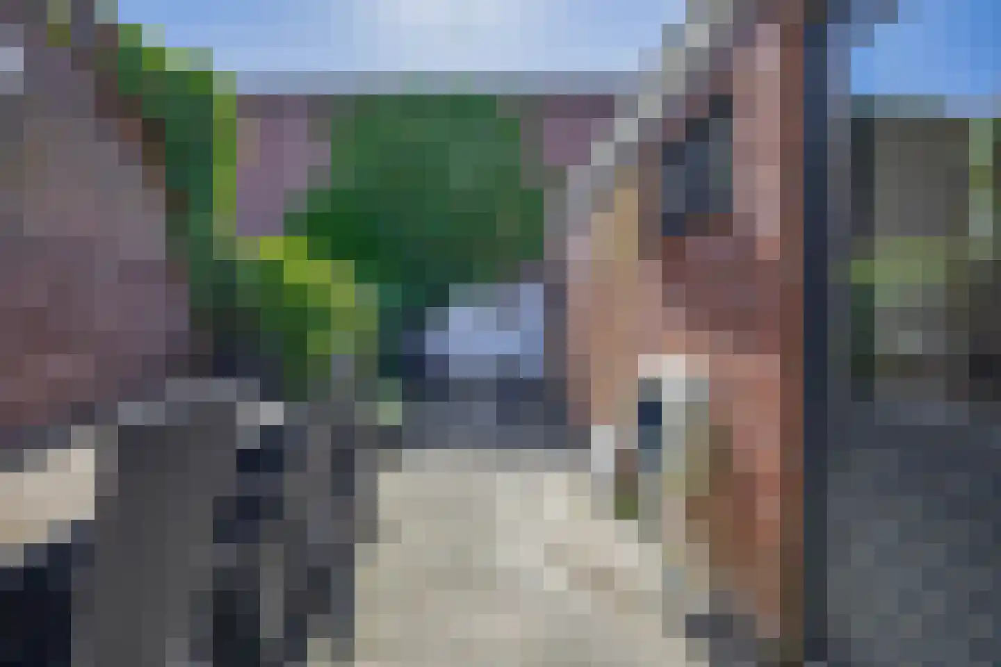 Hazeldonkse Zandweg 14 Zevenbergen thumbnail 24