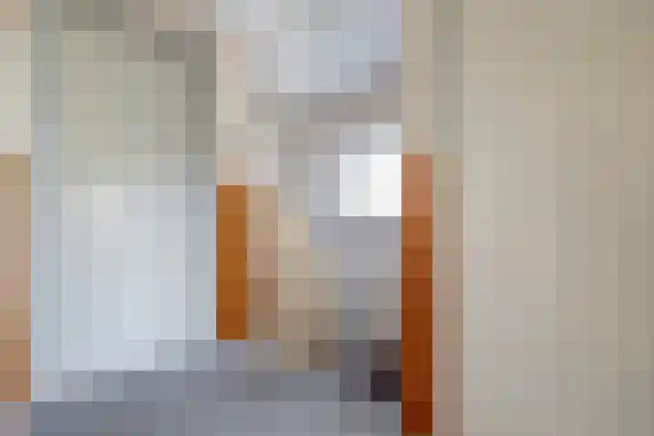 Hazeldonkse Zandweg 39 Zevenbergen thumbnail 18