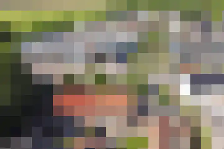 Hazeldonkse Zandweg 39 Zevenbergen thumbnail 31