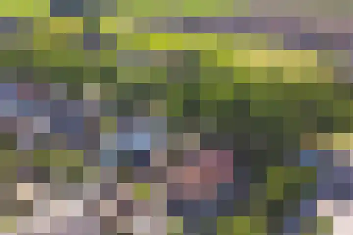 Hazeldonkse Zandweg 39 Zevenbergen thumbnail 32