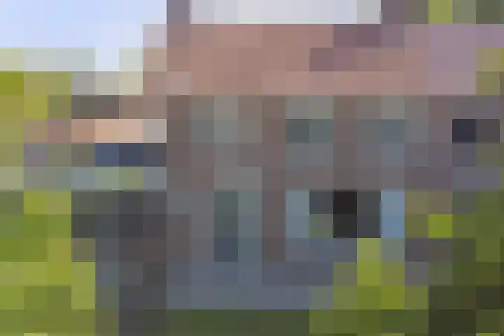 Hazeldonkse Zandweg 39 Zevenbergen thumbnail 34