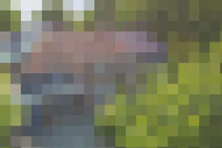 Hazeldonkse Zandweg 39 Zevenbergen thumbnail 35