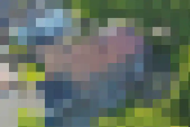 Hazeldonkse Zandweg 39 Zevenbergen thumbnail 36