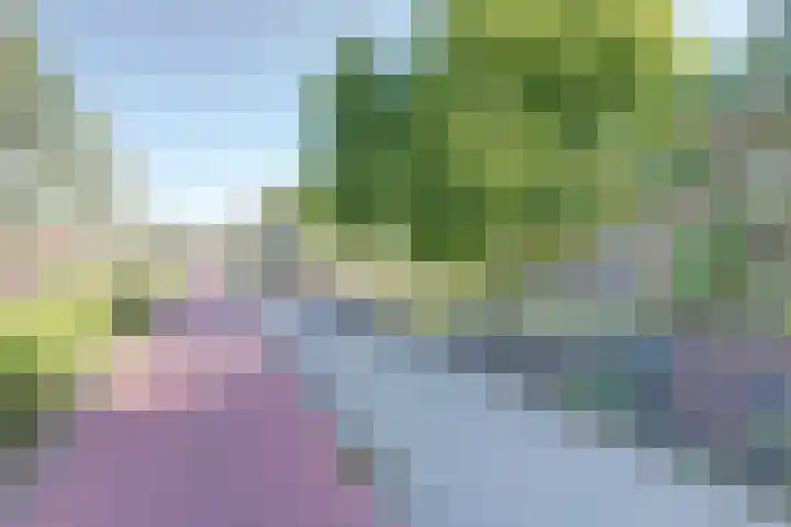 Hazeldonkse Zandweg 39 Zevenbergen thumbnail 37