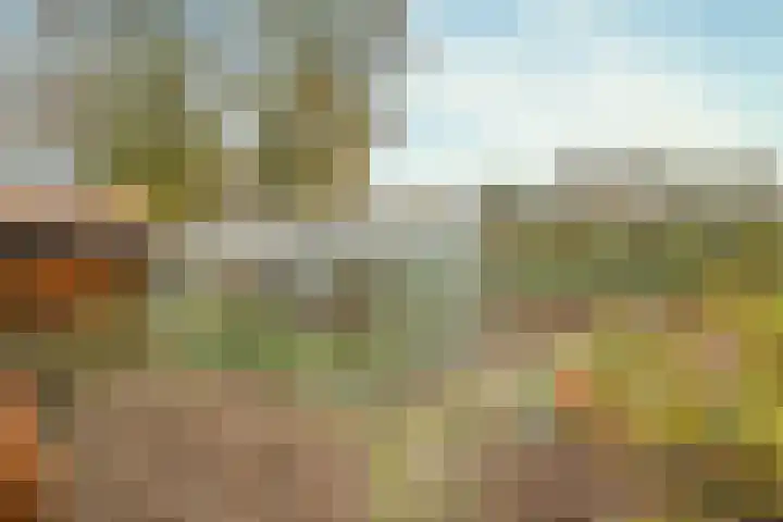 Hazeldonkseweg 5 Liessel thumbnail 11