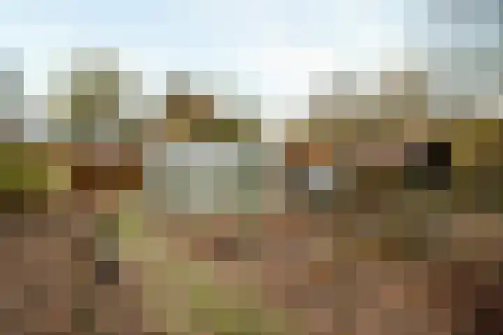 Hazeldonkseweg 5 Liessel thumbnail 12