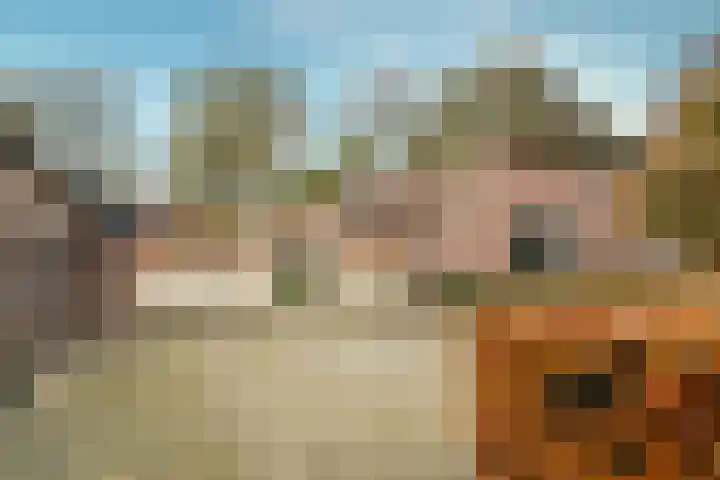 Hazeldonkseweg 5 Liessel thumbnail 13