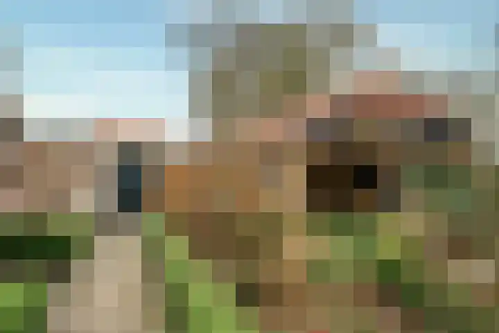 Hazeldonkseweg 5 Liessel thumbnail 14