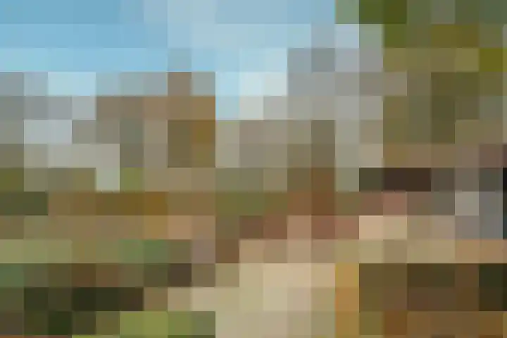 Hazeldonkseweg 5 Liessel thumbnail 17