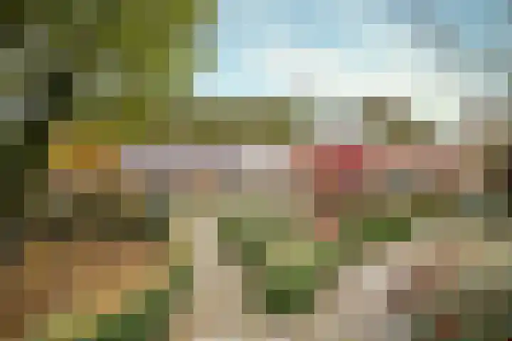 Hazeldonkseweg 5 Liessel thumbnail 18