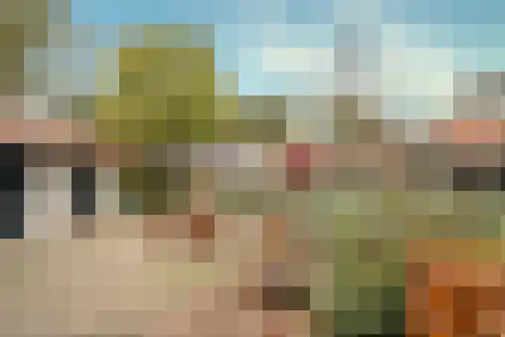 Hazeldonkseweg 5 Liessel thumbnail 20