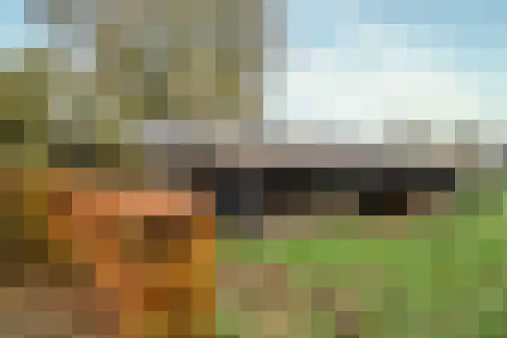 Hazeldonkseweg 5 Liessel thumbnail 22