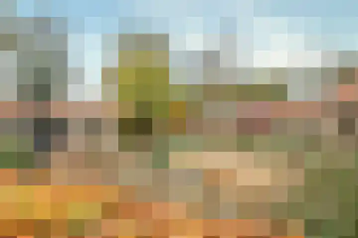 Hazeldonkseweg 5 Liessel thumbnail 23