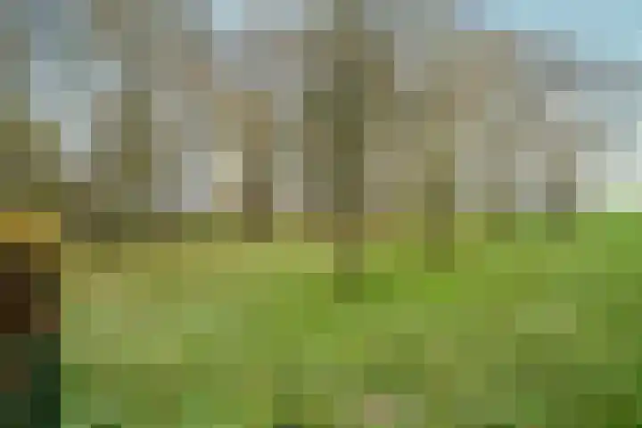 Hazeldonkseweg 5 Liessel thumbnail 24