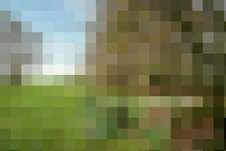 Hazeldonkseweg 5 Liessel thumbnail 25
