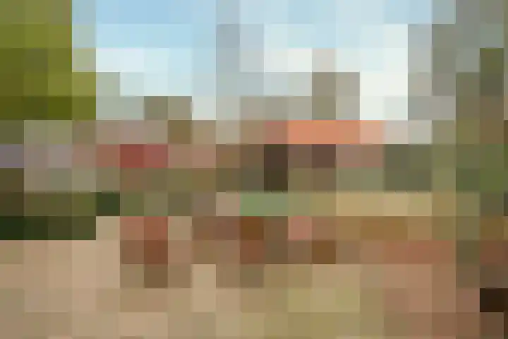 Hazeldonkseweg 5 Liessel thumbnail 26
