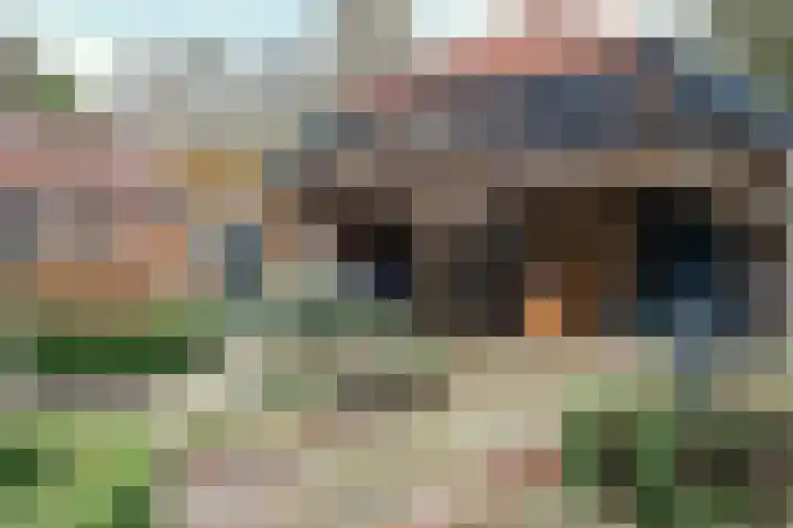 Hazeldonkseweg 5 Liessel thumbnail 27