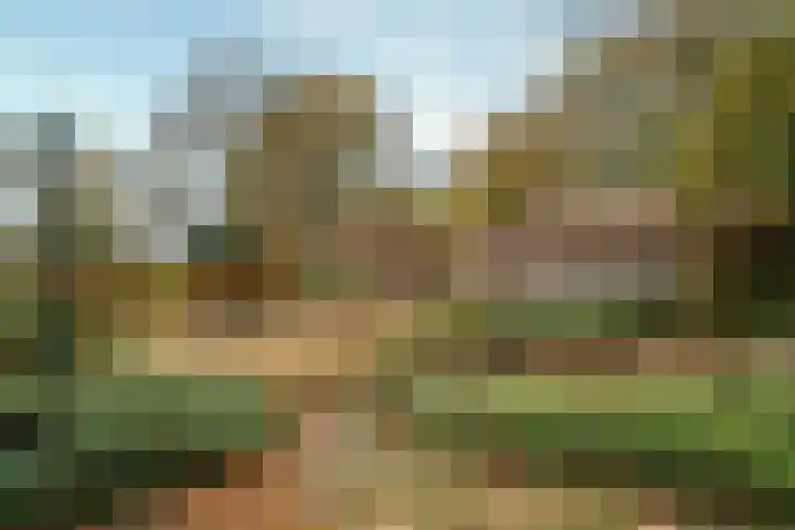 Hazeldonkseweg 5 Liessel thumbnail 28
