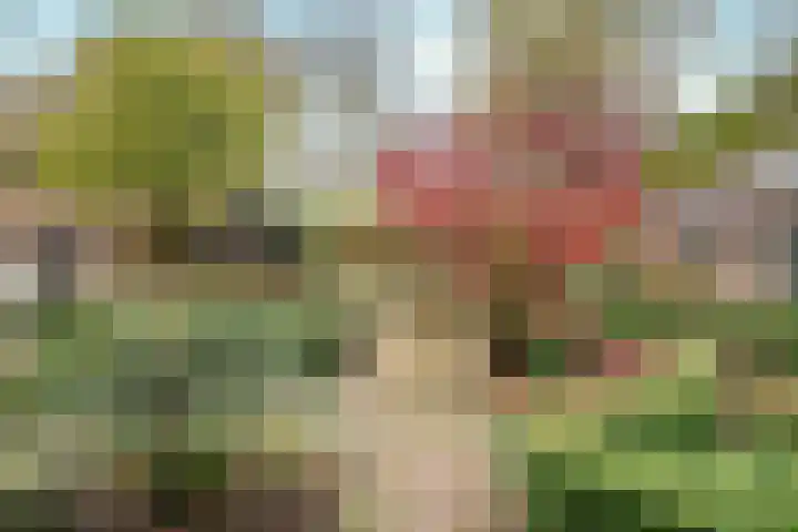 Hazeldonkseweg 5 Liessel thumbnail 29